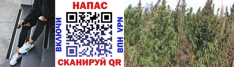 Все наркотики Урай КОКАИН Амфетамин Гашиш Каннабис Меф