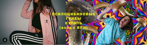 MESCALINE Надым